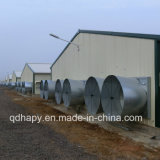 Steel Structure Poultry Farm Construction and Design