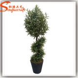 China Factory Price Indoor Decorative Mini Artificial Plants and Trees