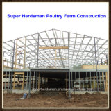 Professional Light Steel Structure Poultry Farm Construction