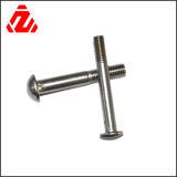 Stainless Steel Round Combination Bolts/Removable Bolts