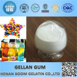 Pharmacy Bp Low Acyl Gellan Gum in Food Additive