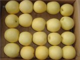 Crown Pear, Huangguan Pear/Chinese Fruits of High Quality