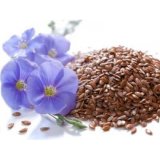 Organic Linseed Flax Seed