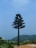 Camouflage Tree Telecommunication Towers (ray)