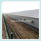 Professional Hapy Prefabricated Poultry Shed