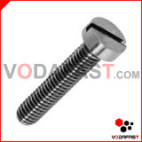 Quality Slotted Cheese Head Bolt