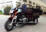 200cc/250cc/150cc Three Wheel Motorcycle; Cargo Tricycle (GM150ZH-X1)