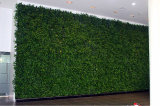 High Quality Artificial Plants and Flowers of Green Wall Gu-Wall102988837