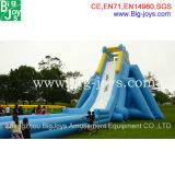 Giant Inflatable Water Slide for Adult (DJ-S44)
