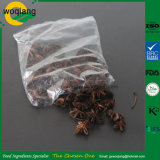 Herb Illicium Verum Star Anise for Culinary Use Medicinal Use