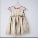 Baby Girl's Party Dress Satin Dress Champain Color with Golden Embrodiery on Organz (KD-99)