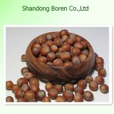 Offering Hot Sale Chestnut From China