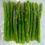 IQF Frozen Vegetable of Green Asparagus