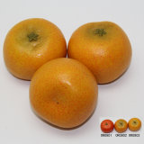 Artificial Fruit, Imitative Polyfoam Orange (ORW09-2-0903)