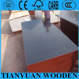 Factory Supply 18mm Film Faced Plywood/Waterproof Plywood