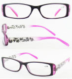 Eyeglasses Frame/Designer Eyewear/Plastic Eyewear (RP483007)