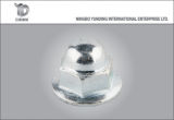 Good Special Washer Nut with Hexagonal Flange Cap Nut