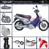 Xy50q-6 Motorcycle Parts Accesories, Repuestos for Shineray Models