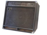 Bass Amplifiers (FC-40B)