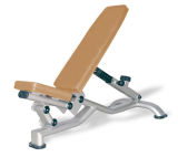 Fitness Equipment Gym Equipment Adjustable Dumbell Chair (LN-5837)