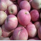 FUJI Apple, Apple Fruit, Fresh Apple