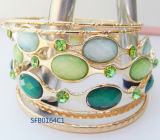 Fashion Jewelry Colorful Fashion Bracelet Jewelry (SFB0164C1)