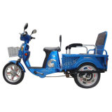 Passenger Electric Tricycle (TC-007)