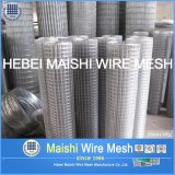Galvanized / PVC Coated Welded Wire Mesh