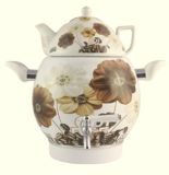 Decorative Porcelain Enamel Tea Kettle (WT-AA09)