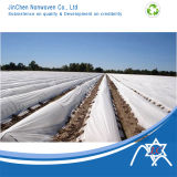 Non-Woven Fabric for Agriculture