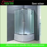 Pitfall Patterned Glass Stainless Steel Shower Room (TL-541)