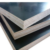 High Quality Marine Plywood for Construcion