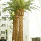 ISO9001 Artificial Date Palm Tree Artificial Plant Decor with UV