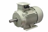 Y2 Series AC Electric Motor Cast Iron 2p 37kw