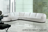 Living Room Genuine Leather Sofa (SBL-9049)