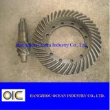 Crown and Pinion Gear