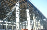 Steel Structure Building (PX01A589653)