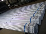 Galvanized Pipe and Tube