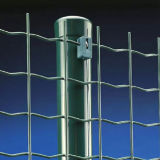 Holland PVC Coated Wire Mesh Protect Fence Netting