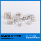 N33sh Universal Chinese Radial Cylinder Magnet