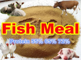 Fish Meal Manufacturer with 10 Year Export Experiece