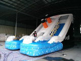 2016 New Arrival Hot Sale Inflatable Titanic Water Slide with Pool for Kids