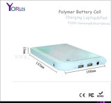 Polymer Battery Power Bank 12000mAh for iPod/iPad/Laptop (YR120)