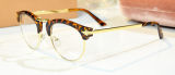 2014 New Retro Eyeglasses From China Manufacturer with High Quality Wholsale Eyewear Glasses Frames (sgW007)