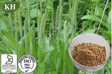 100% Natural Plantain Extract 5: 1; 10: 1 (CAS No.: 84929-43-1)