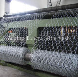 Chicken Mesh for Poultry