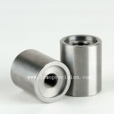 304 Stainless Steel CNC Turning Parts (LM-701)