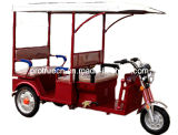 48V 850W Electric Passenger Tricycle (ETR-02)