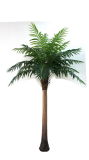Artificial Plants and Flowers of Big Bamboo Palm 2.4m Gu-Bj-205e-24