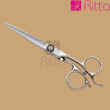 Convex Sharp Hair Cutting Scissor /Hair Shear /Hairdressing Scissors (RS2009)